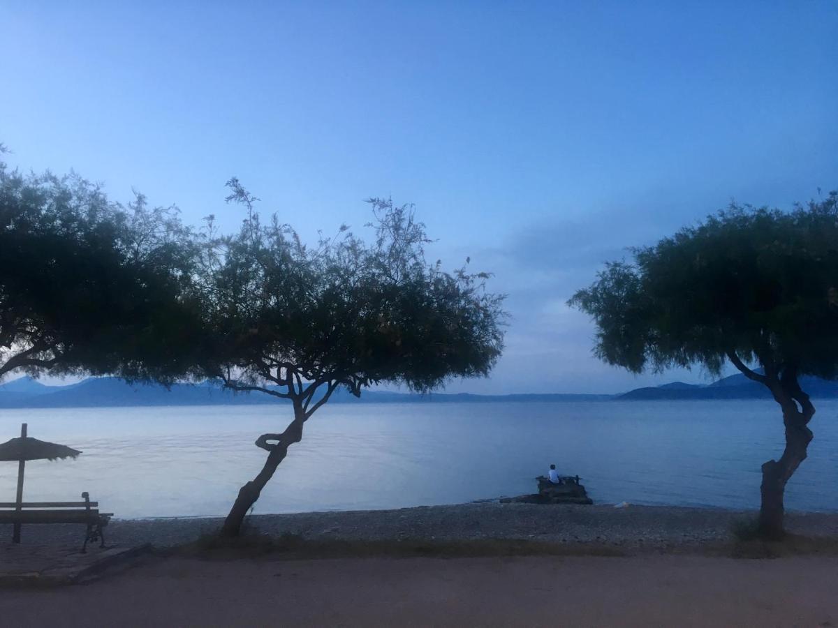 דירות Varnavas Eratous Seaside House מראה חיצוני תמונה