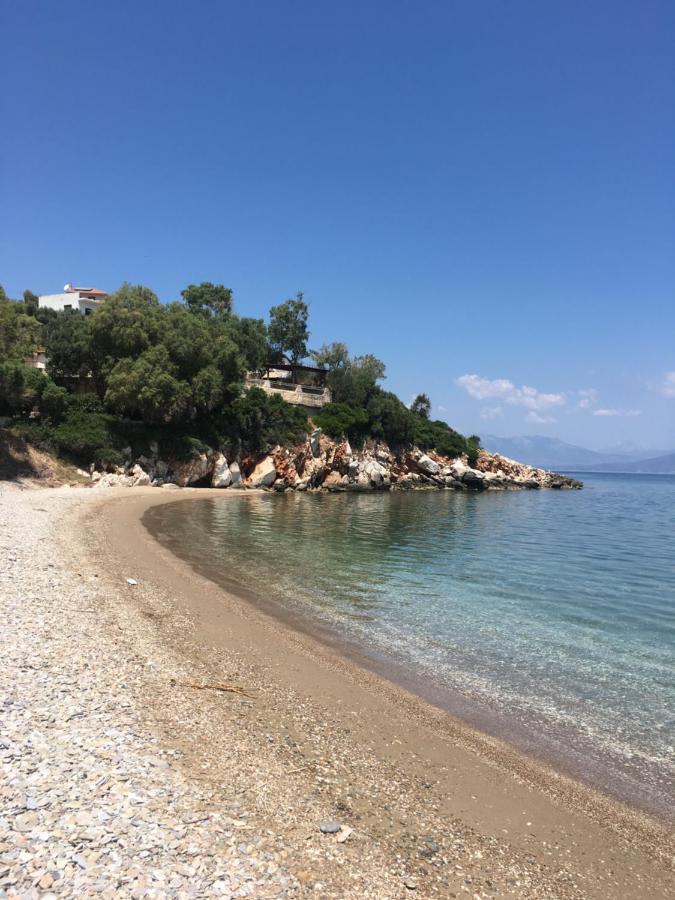 דירות Varnavas Eratous Seaside House מראה חיצוני תמונה