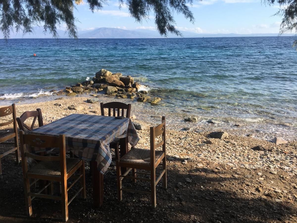 דירות Varnavas Eratous Seaside House מראה חיצוני תמונה