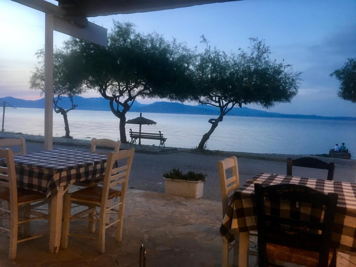 דירות Varnavas Eratous Seaside House מראה חיצוני תמונה